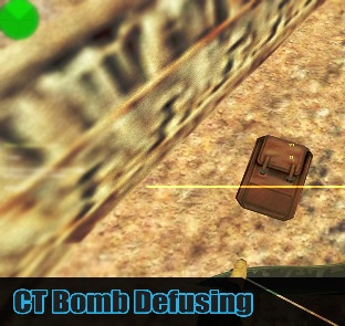 CT Bomb Defusing